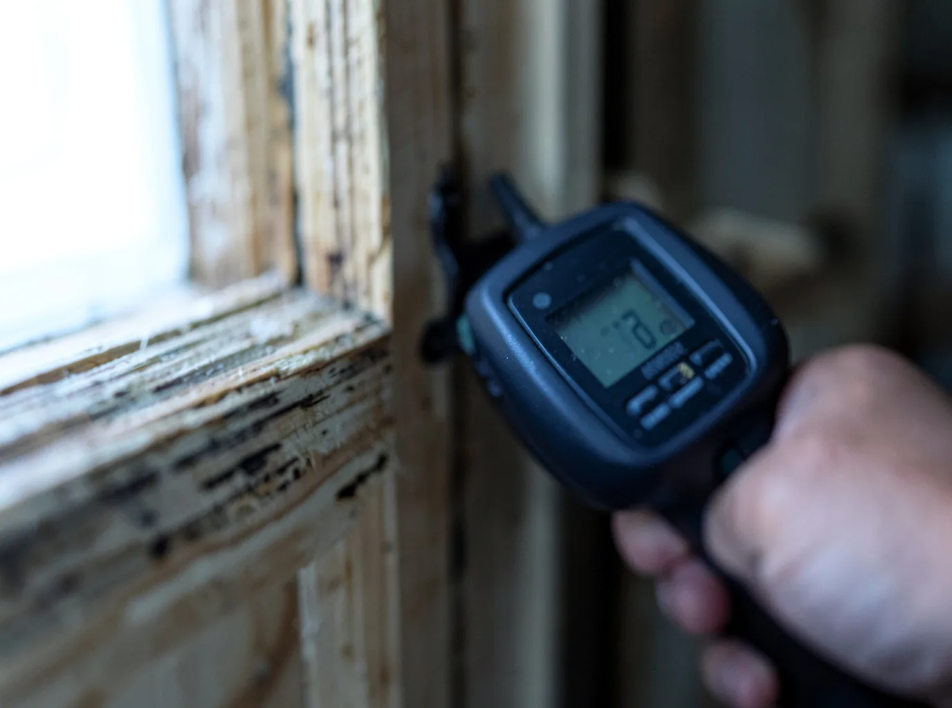 Ceiling Water Damage Repair in Ashford, WA